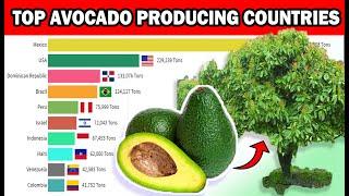 Top 10 Avocado Producing Countries (1960-2019) - TheRankingMaster