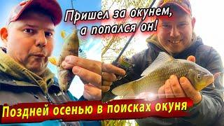 Рыбалка поздней осенью | Джиг Риг на пруду | Jara Baits Nano series