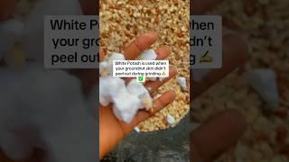 Important of White Potash in KULIKULI groundnut #kulikuli #groundnutoil #groundnut #tabithamilkykuli