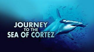 Journey to the Sea of Cortez HD