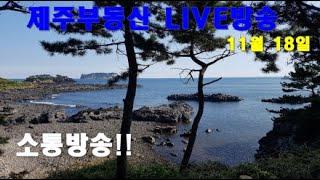 [제주 부동산 실시간방송 11/18] 제주도 관광객감소. 부동산하락. 뉴스는 참고만!!! 투자는 타이밍!!