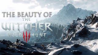 The Beauty of The Witcher 3: Skellige | Aesthetics from Nikattica