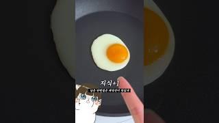 최고의 계란후라이를 위한 여정