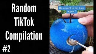 BlueRaven 666 Random TikTok Compilation #2