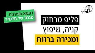 ניהול פליפ בארה"ב מישראל - דוגמא מעסקה של תלמיד