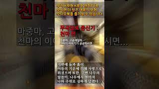 8 천마 1 #무극담로 #무협소설 #천마
