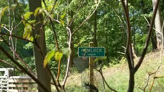 Hemlock Creek Trail in Independence, Ohio