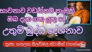 Ven. Hasalaka Seelawimala Thero ||පූජ්‍ය. හසලක සීලවිමල ස්වාමින් වහන්සේ ||#කුසල්වඩනබුදුමඟ