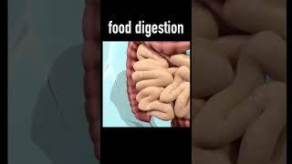 #food digestion #Healthify Talks#communityhealthofficer #bscnursingnotes