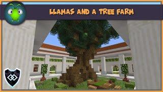 Llamas and a Greco Roman Tree Farm  Ep. 6  Obsidian Order SMP Vanilla Season 3