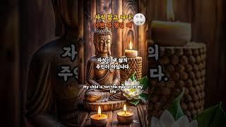“이젠 자식보다, 내 마음입니다” 부모님께 드리는 부처님 말씀 | 불교 명언｜힐링｜석가모니｜마음치유