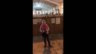 Образовательная прогулка в конно спортивный клуб Фаворит