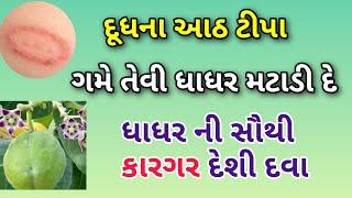 આ દૂધના આઠ ટીપા ગમે તેવી ધાધર મટાડી દે ||ધાધર ખરજવા ની દેશી દવા || Dhadhar ko kaise hataye