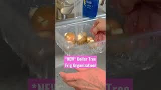 NEW DOLLAR TREE REFRIGERATOR ORGANIZER! #shannonskiptomylife #dollartreeorganization #dollartree