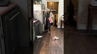 morning in the kitchen as a homesteading mom