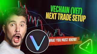 VECHAIN (VET) HOLDERS ACT NOW OR MISS OUT ON THIS MOVE