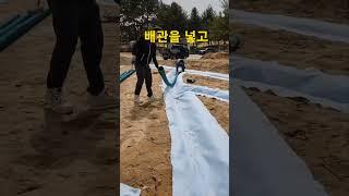 골프장 그린은 요렇게 만들어진다. 이보다 자세한 영상은 없었다 !!! how to build a golf greeen! whole process are here.