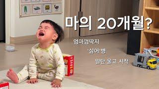 20개월 아들 육아 난이도 급상승｜홍천 소노빌리지, 남이섬 주말 여행｜과천 원더파크