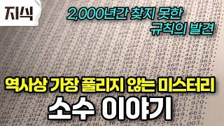 초등학생도 알고 있는 소수가 어떻게 수학 역사상 가장 풀리지 않는 미스터리가 된 것일까? #과학 #EBS지식