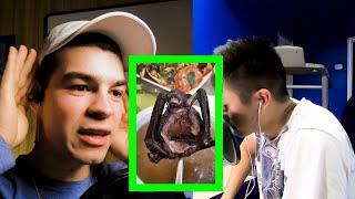 WHO IS ON THE FRUIT BAT DIET? | Hay Logan!