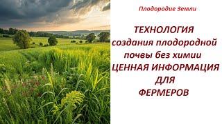 Для подписчиков Алексея Перепелицы: в плену научных заблуждений о плодородии земли №674/24