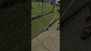 OVERGROWN Sidewalk EDGING With A Stick Edger #lawncare #yardcleanup #shorts #grasscutting #overgrown
