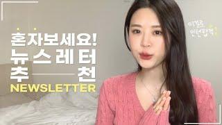 면접 합격률 두배 높이는 취준생 필수️ 뉴스레터 추천 (feat.취준)