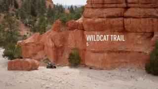 Arctic Cat 2017 Wildcat Sport and Trail SXS Experience