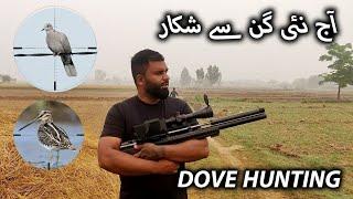 Dove Hunting with Pak Made Pallets || Best Dove Hunt #airgunhunting