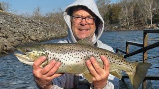 STEPS, CENTER HILL DAM, HUGE TROUT & WALLEYE!