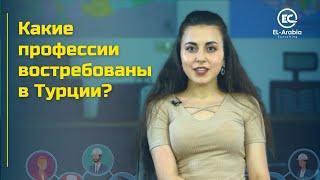 Какие профессии востребованы в Турции? | Список востребованных профессий в Турции