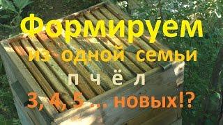 Быстрое расширение пасеки