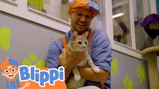 Blippi meets cute animals|  Kids Video Subtitles | Cartoons for Kids | Moonbug Literacy