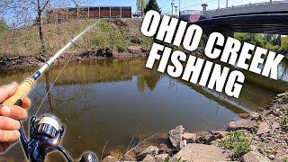 Exploring Urban Ohio Creek For Smallmouth Bass