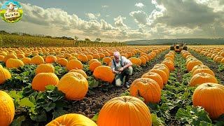 UNBELIEVEBLE Giant Pumpkin Farming: How American Farmers Grow Over 1 Billion Pounds Every Year!