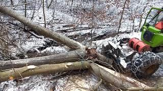 Skidder Orvex LT 100 Ťažba buka 12,33m³ Working in forest 