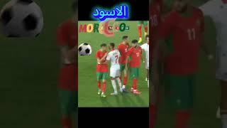 #تحية #الأسود_الأطلسي #المغرب_اليوم الاسد#دائما #اسد#اسفي