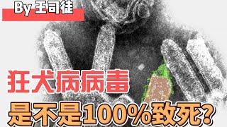 狂犬病致死率为什么不是100%？【上将王司徒】