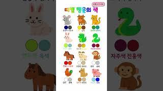 띠별 행운의 색｜복을 부르는 오행 컬러 정리 (12띠 운세)