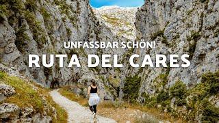 SPANIENS schönste Wanderung - die Picos de Europa auf der Ruta del Cares | Nordspanien VLOG #40