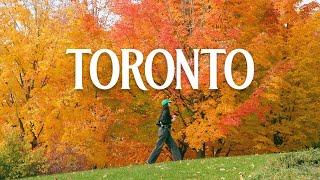 toronto, we're home (autumn edition)!