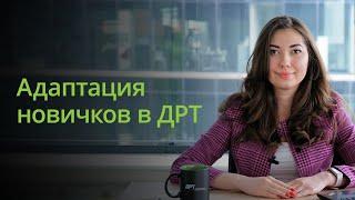 Адаптация новичков в команде ДРТ