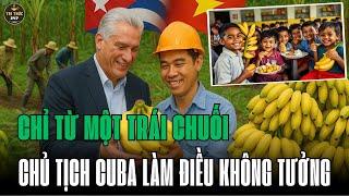 Câu Chuyện Kỳ Diệu Về Trái Chuối Khiến Cả Cuba Xúc Động | Tri Thức 247