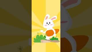 Let's get to know the animals | Rabbits | #shorts #baby #animals #rabbit #english #toys #cartoon