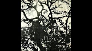 Jeff  Lieberman : Synergy - 1978 (Chicago and Geneva,IL,U.S.A.) (Full album-Vinyl Upload)