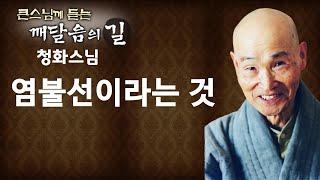 염불선이라는 것 _ 청화스님 [큰 스님께 듣는 깨달음의 길]