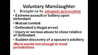 Criminal Law Video Presentation 8 - Voluntary Manslaughter