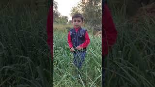 chhota babu ️ ka style #shorts#viralvideo#shortsvideo#short#rockstar#trending#video#viral