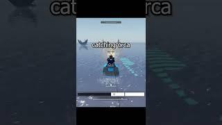 catching an orca #roblox #fisch