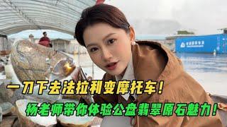 一刀下去法拉利變機車！ 楊老師帶你沉浸式體驗公盤翡翠原石魅力！#翡翠 #翡翠原石 #緬甸翡翠 #缅甸翡翠玉石 #緬甸翡翠賭石 #賭石